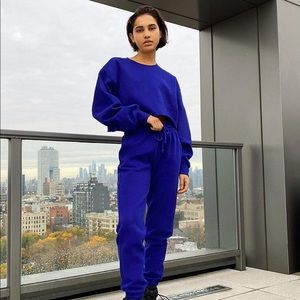 ISO: TNA Daring Indigo Sweatpants